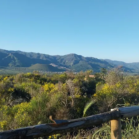 Il Calice Dell'etna Passopisciaro